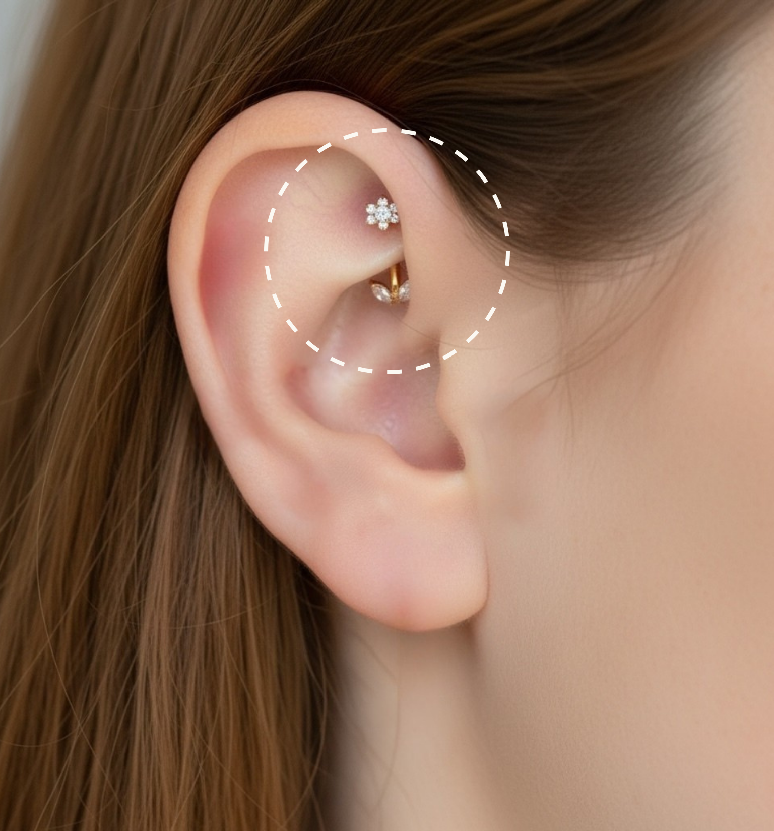 Rook