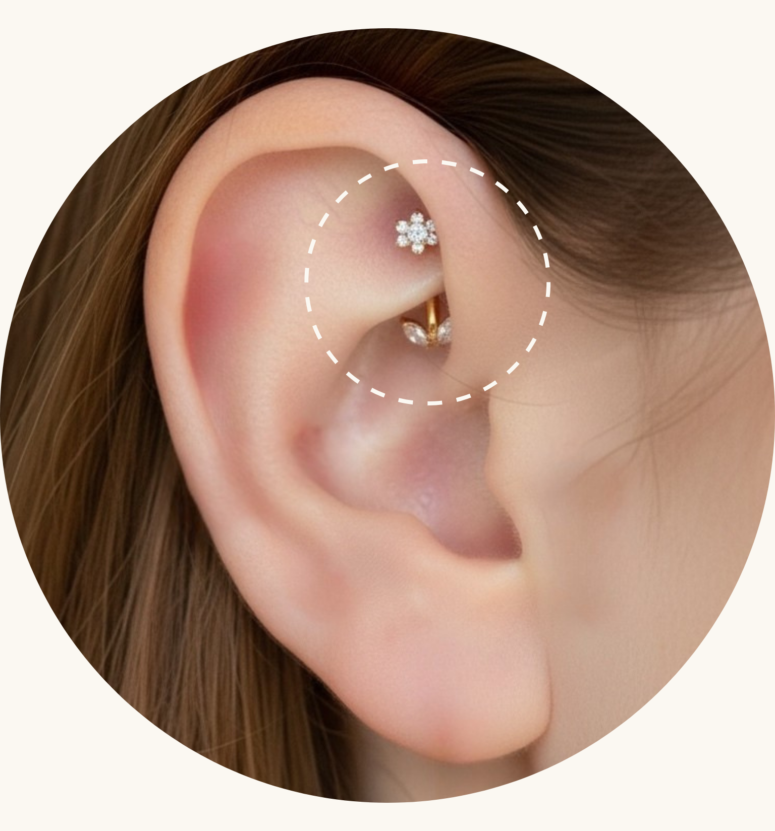 Rook